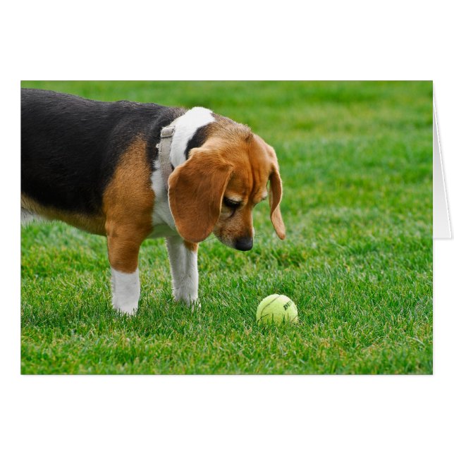 Wil je spelen? (Voorkant Horizontaal)