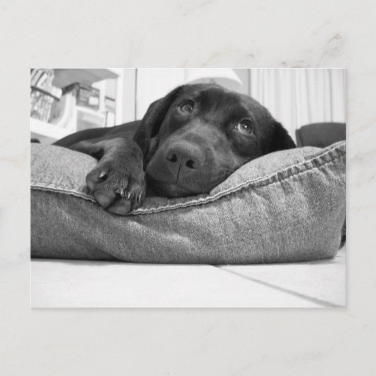 Wil je spelen? briefkaart (Voorkant)