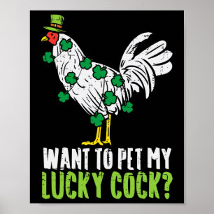 Wil Mijn Geluksdier Aaien Leuke St. Patrick Dag Ma Poster