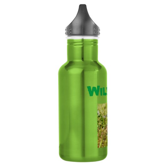 Wilbur Nom Avec Lizard, Bouteille D'Eau (Gauche)