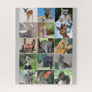 Wild 15 Dieren gefotografeerd in de Wilde Puzzle Legpuzzel