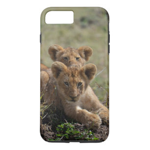 Wild African Lion Cubs iPhone 7 Plus coque