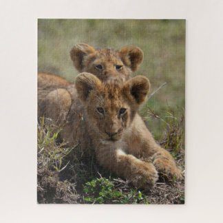 Wild African Lion Cubs Legpuzzel