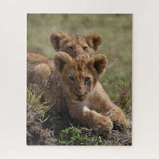 Wild African Lion Cubs Legpuzzel (Verticaal)
