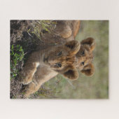 Wild African Lion Cubs Legpuzzel (Horizontaal)