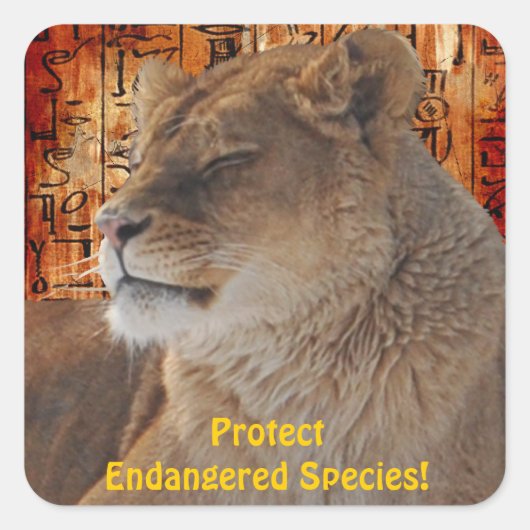 Wild Afrika Dierenliefhebbers Big Five Vierkante Sticker (Voorkant)