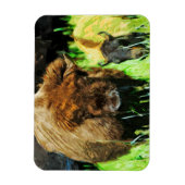Wild American Bison met Calf Abstract Magneet (Verticaal)