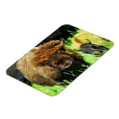 Wild American Bison met Calf Abstract Magneet (Linkerzijde)