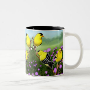 Wild American Goldfinches Mok
