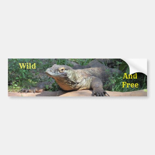 Wild and Free Komodo Dragon Bumpersticker (Voorkant)