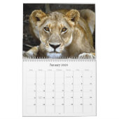 Wild Animal 2009 Agenda! Kalender (Jan 2026)