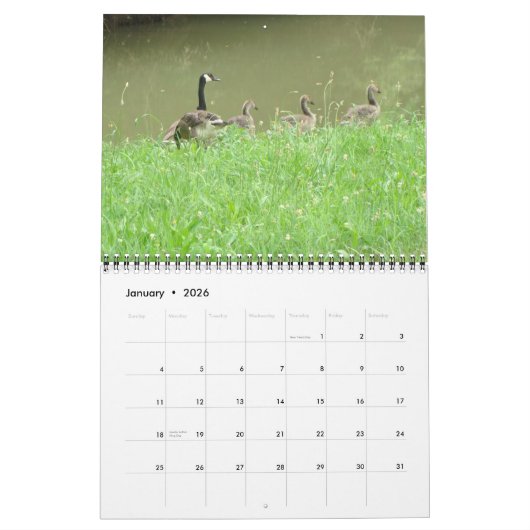 Wild Animal Calendar Kalender (Jan 2026)