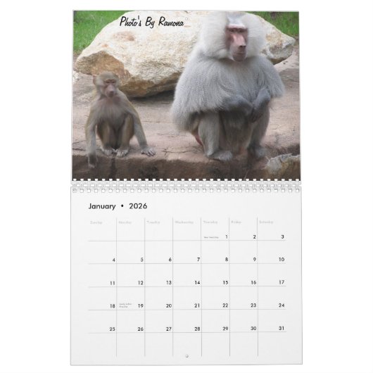 Wild Animal Calender van Ramona Taylor Kalender (Jan 2026)