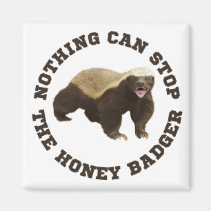 Wild Animal Honey Badger Funny Magnet Magneet