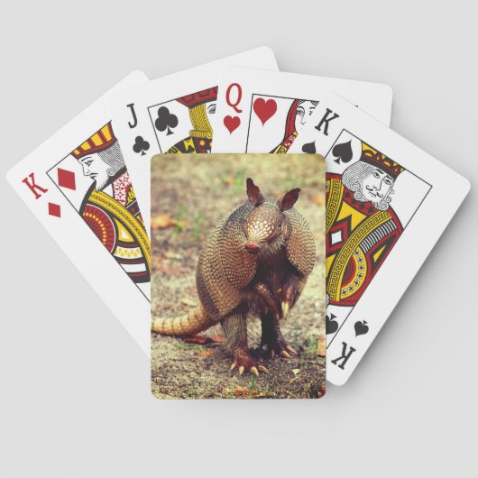 Wild Armadillo-dier Pokerkaarten (Achterkant)