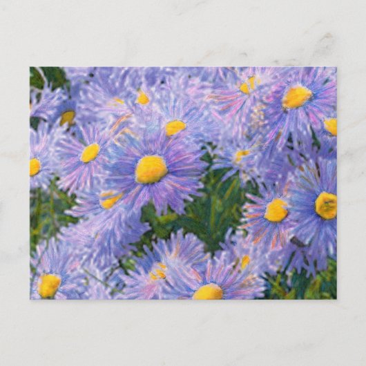 Wild Asters gemengde media tekenen Briefkaart (Voorkant)