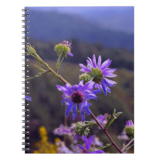 Wild Asters notebook Notitieboek