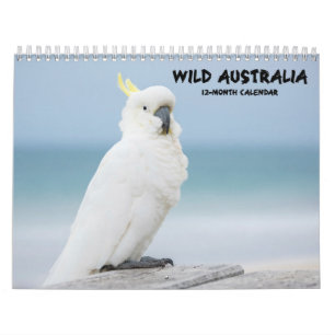 "Wild Australia" Australian Wildlife Calendar Kalender