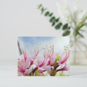 Wild Azalea Blossom Uitnodiging Briefkaart