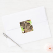 Wild Baby Bunnies Vierkante Sticker (Envelop)