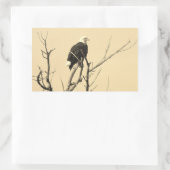 Wild Bald Eagle Stickers (Tas)