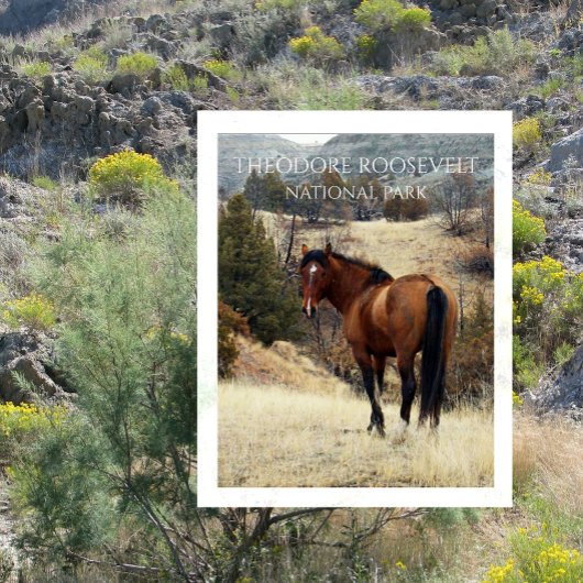 Wild Bay Horse. Nationaal park Theodore Roosevelt Briefkaart