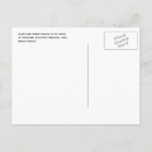 Wild Bay Horse. Nationaal park Theodore Roosevelt Briefkaart (Achterkant)