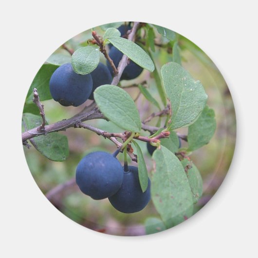 Wild Berries magnet Magneet (Voorkant)