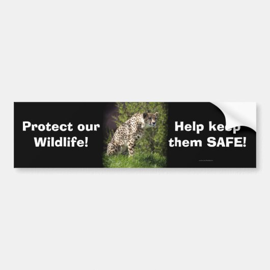 Wild Big Cats Dierenliefhebber Design Bumpersticker (Voorkant)
