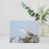 WILD BIRD HERON BRIEFKAART (Staand voorkant)