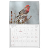 Wild Bird Photo Calendar Kalender (Feb 2027)