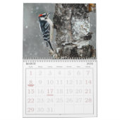 Wild Bird Photo Calendar Kalender (Mar 2026)