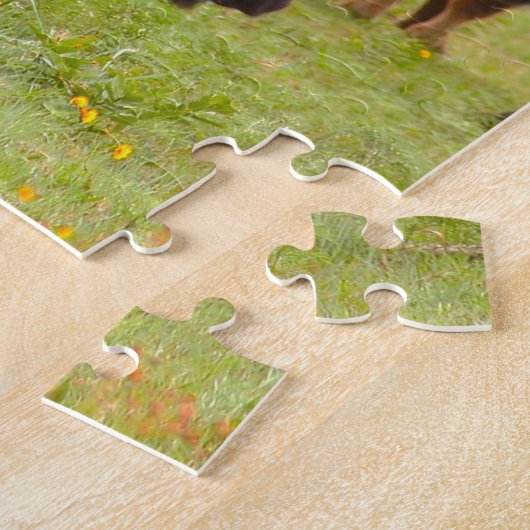 Wild Bison Oklahoma. Legpuzzel (Zijkant)