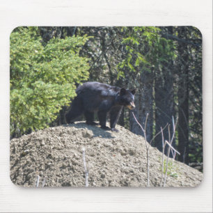 Wild Black Beer Cub & Mud Hill Wildlife Foto Gift Muismat