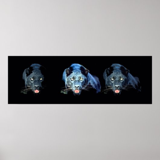 Wild Black Jaguar Cat Eyes Blue Tones Poster (Voorkant)