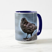 Wild Black Raven Crow-liefhebbers #Gift Mok (Voorkant rechts)