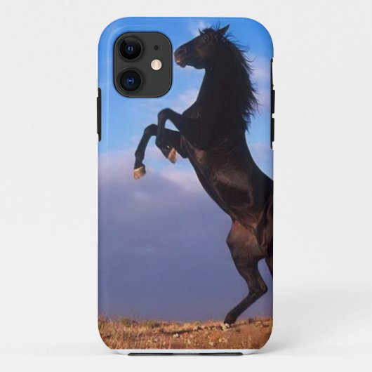 Wild Black Stallion Rearing Horse Case-Mate iPhone Case (Achterkant)