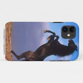 Wild Black Stallion Rearing Horse Case-Mate iPhone Case (Achterkant (horizontaal))