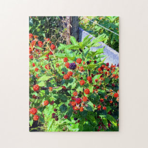 Wild Blackberry Patch Legpuzzel