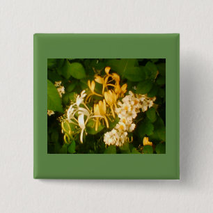 Wild Blooming Roos Honeysuckle Button