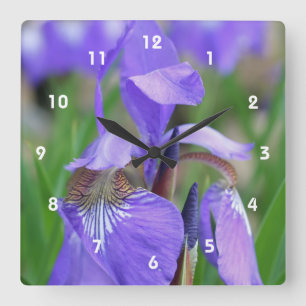 Wild Blue Flag Iris Flower Vierkante Klok