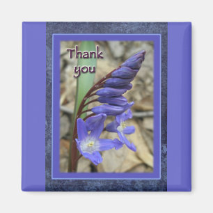 Wild Blue Hyacinth bedankt Magneet