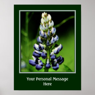 Wild Blue Lupine Flower Personalized Poster