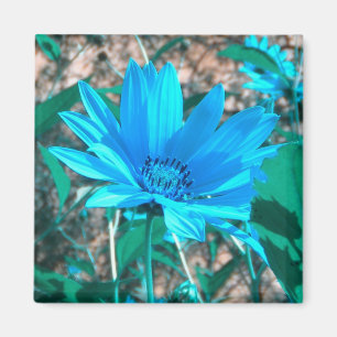 Wild Blue Sunflower Magnet Magneet