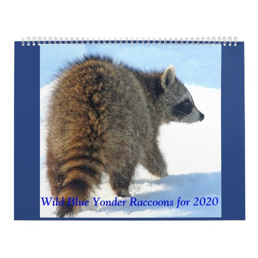 Wild Blue Yonder Raccoons van 2019 Kalender (Hoes)