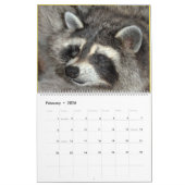 Wild Blue Yonder Raccoons van 2019 Kalender (Feb 2026)