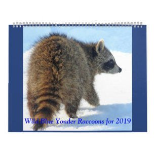 Wild Blue Yonder Raccoons van 2019 Kalender