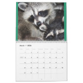 Wild Blue Yonder Raccoons van 2021 Calendar Kalender (Mar 2026)