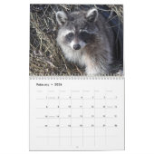Wild Blue Yonder Raccoons van 2021 Calendar Kalender (Feb 2026)