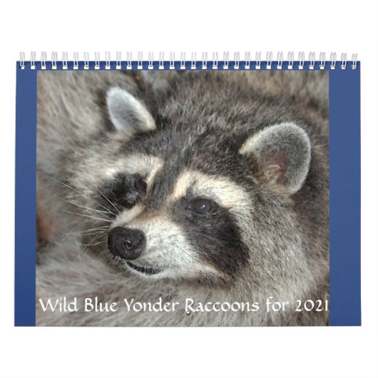 Wild Blue Yonder Raccoons van 2021 Calendar Kalender (Hoes)